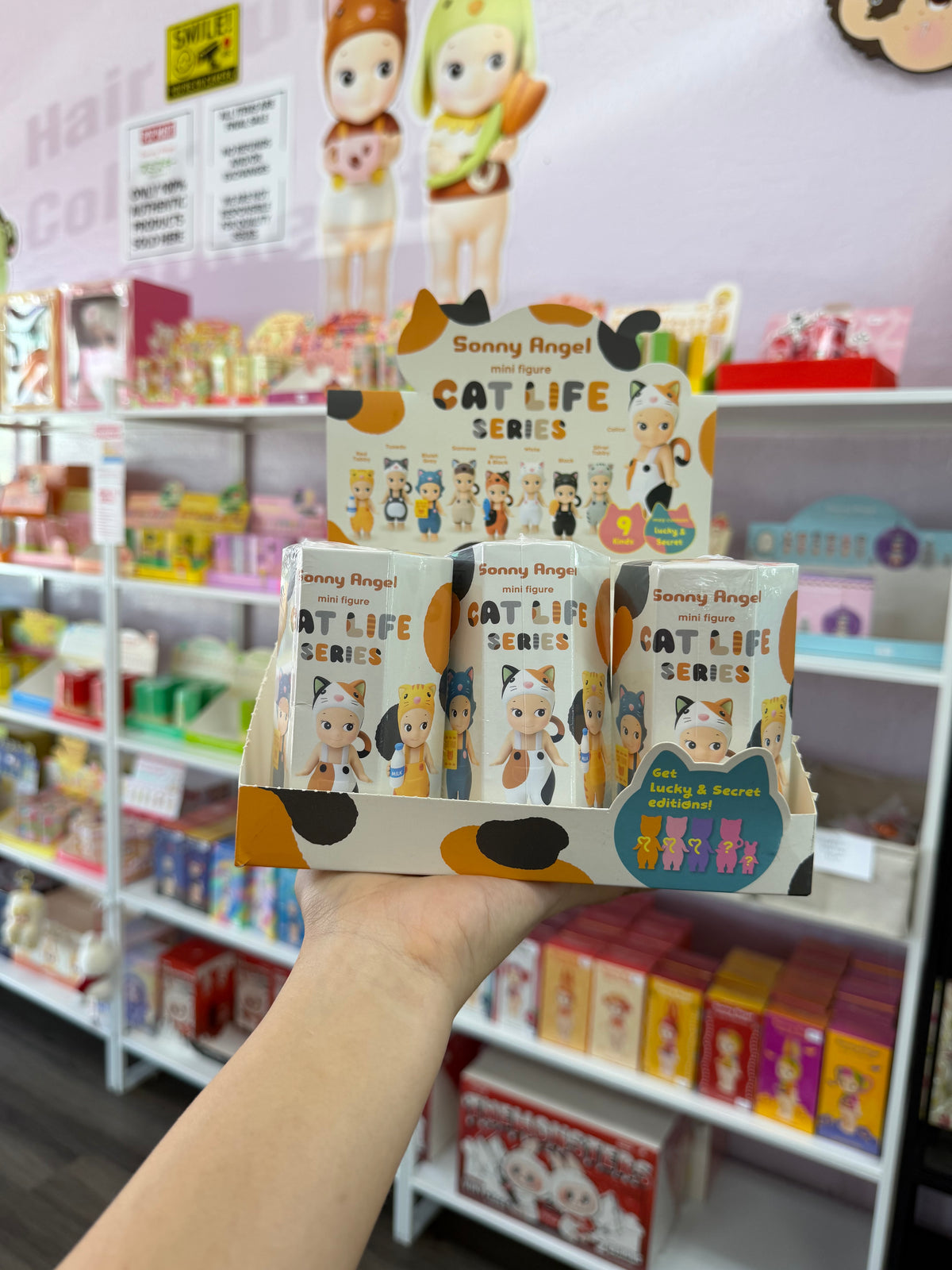 Cat Life Series